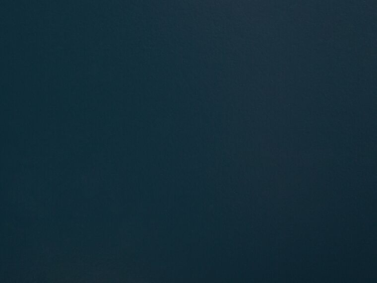 Voodi 140x200 puidust, Sinine OLIVET - Home Outlet Estonia